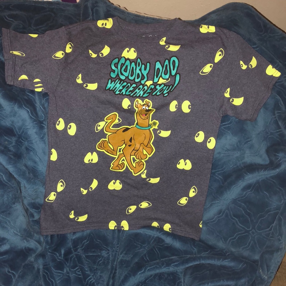 Boy’s Scooby-Doo Character Tee/Large/50%Cotton 50%Polyester/Gently Worn